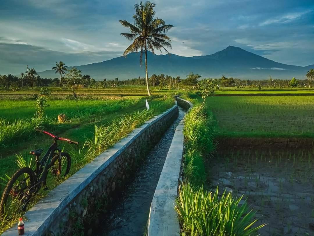 Peraja Bungalows Loyok Sangyang Værelse billede