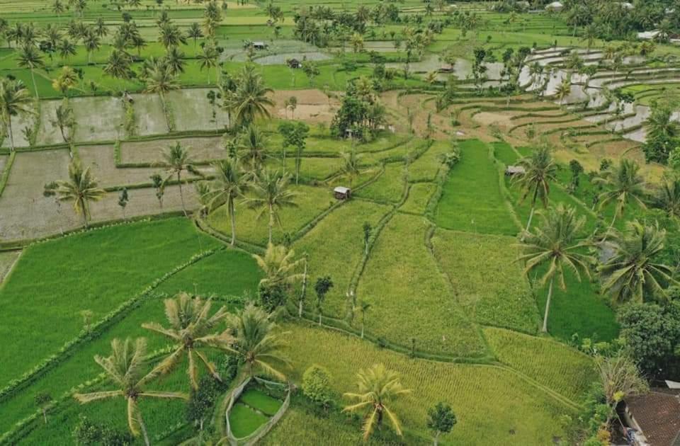 Peraja Bungalows Loyok Sangyang Eksteriør billede